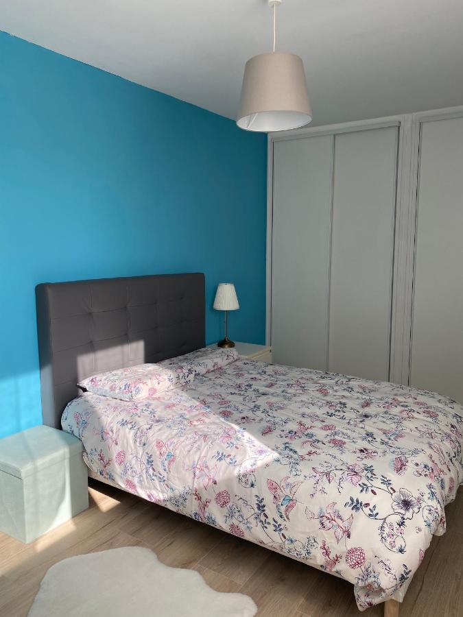 Le Cosy, Appartement Chaleureux 2 Chambres La Talaudiere Eksteriør billede